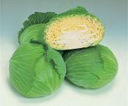 Cabbage-GREEN-LUNAR.jpg